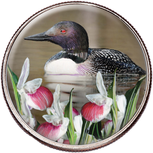 50 State Birds & Flowers - Minnesota Main Image