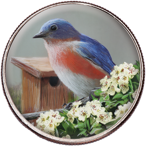 50 State Birds & Flowers - Missouri Main Image