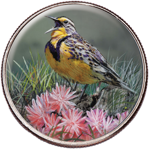 50 State Birds & Flowers - Montana Main Image