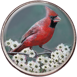 50 State Birds & Flowers - North Carolina Main Image