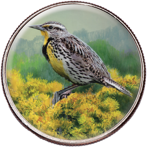 50 State Birds & Flowers - Nebraska Main Image