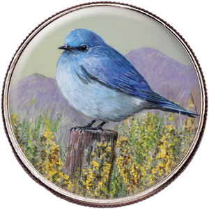 50 State Birds & Flowers - Nevada Main Image