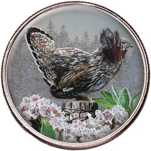 50 State Birds & Flowers - Pennsylvania Main Image