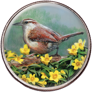 50 State Birds & Flowers - South Carolina Main Image