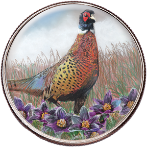 50 State Birds & Flowers - South Dakota Main Image