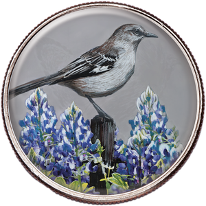 50 State Birds & Flowers - Texas Main Image