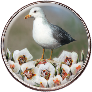 50 State Birds & Flowers - Utah Main Image