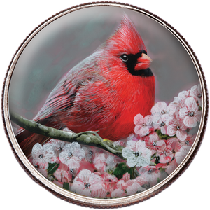 50 State Birds & Flowers - Virginia Main Image