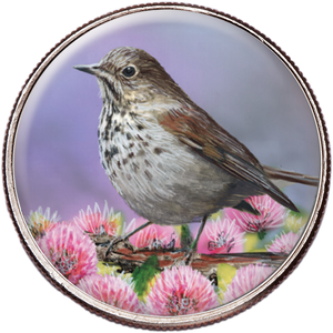 50 State Birds & Flowers - Vermont Main Image