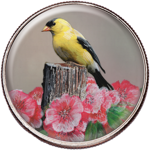 50 State Birds & Flowers - Washington Main Image