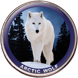 Arctic Wolf Colorized Kennedy Half Dollar Main Image