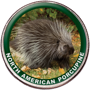 North American Porcupine Colorized Kennedy Half Dollar Main Image