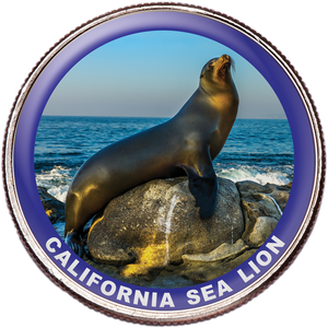 California Sea Lion Colorized Kennedy Half Dollar Main Image