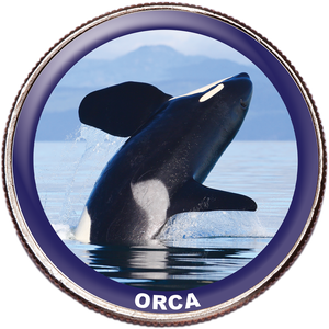 Orca Colorized Kennedy Half Dollar Main Image