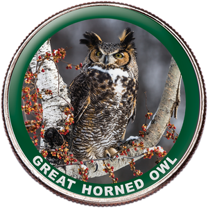 Great Horned Owl Colorized Kennedy Half Dollar Main Image