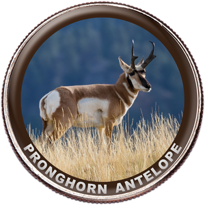 Pronghorn Antelope Colorized Kennedy Half Dollar Main Image