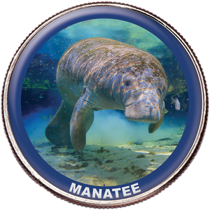 Manatee Colorized Kennedy Half Dollar Main Image