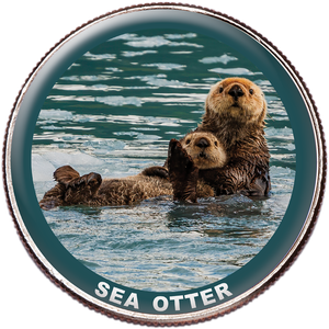 Sea Otter Colorized Kennedy Half Dollar Main Image