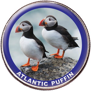 Atlantic Puffin Colorized Kennedy Half Dollar Main Image