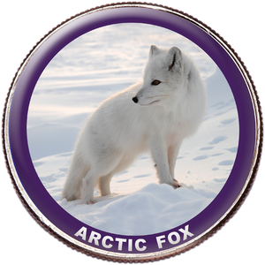 Arctic Fox Colorized Kennedy Half Dollar Main Image
