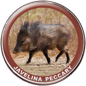 Javelina Peccary Colorized Kennedy Half Dollar Main Image