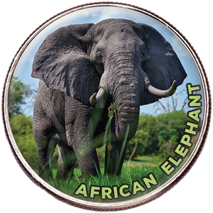 Colorized Kennedy Half Dollar World Wildlife Series - African Elephant Main Image