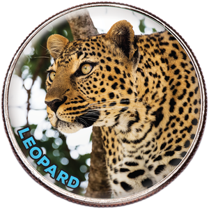 Colorized Kennedy Half Dollar World Wildlife Series - Leopard Main Image