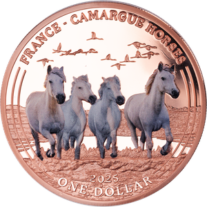 2025 Camargue Horses Copper Dollar Main Image