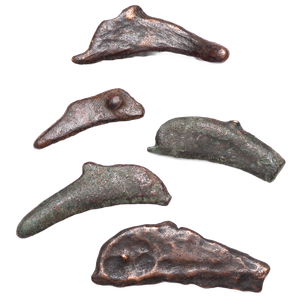 5th Century B.C. Bronze Dolphin Coin Main Image
