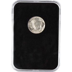 1937 Buffalo Nickel in Deluxe Holder | Littleton Coin