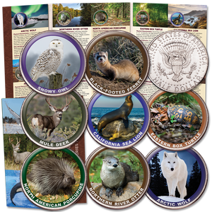 American Wildlife Series IV Custom Folder and Coins Main Image