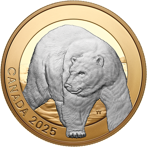2025 Canada 1 oz. Silver $20 Polar Bear Main Image