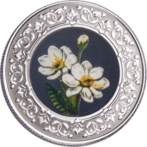 2021 Canada 1/4 oz. Silver $3 Mountain Avens Main Image