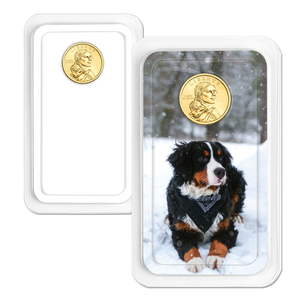 Personalized 2025 Native American Dollar Showpak Main Image