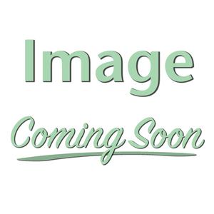 1925-D Lincoln Head Cent Main Image