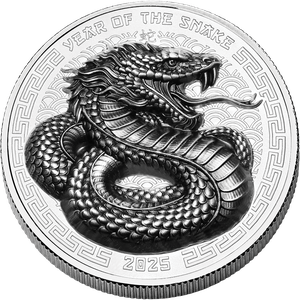 2025 Fiji 1 oz. Silver $2 Year of the Snake Main Image
