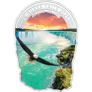 2025 Fiji 1 oz. Silver $2 Niagara Falls Main Image