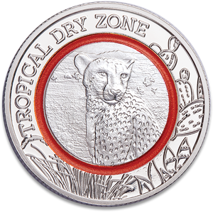 2020 Ghana Climate Zones Collection - Cheetah Main Image