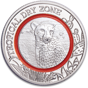 2020 Ghana Climate Zones Collection - Cheetah Main Image