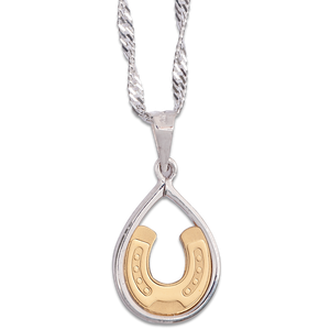 Gold Horseshoe Teardrop Necklace Main Image