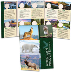 American Wildlife Series III Folder Main Image