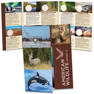 American Wildlife Series IV Folder Main Image