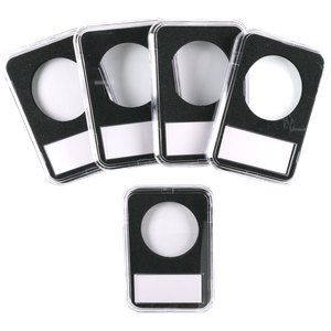 Lighthouse Slabs (5 pack), Large Dollar Main Image