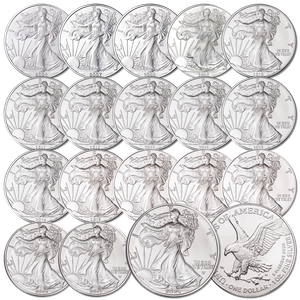 2004-2024 American Eagle Silver Dollar Set Main Image