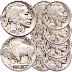 1920-1929 "P" Mint Buffalo Nickel Set Main Image