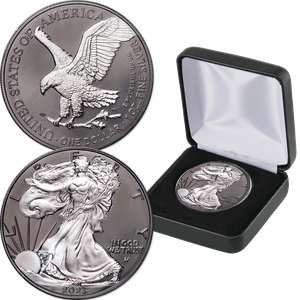 2023 Ruthenium-Plated Silver American Eagle with Case Main Image