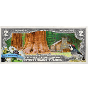 Colorized $2 Federal Reserve Note Great American Landscapes - Giant Redwoods Main Image