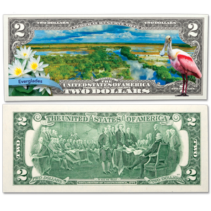 Colorized $2 Federal Reserve Note Great American Landscapes - Everglades Main Image