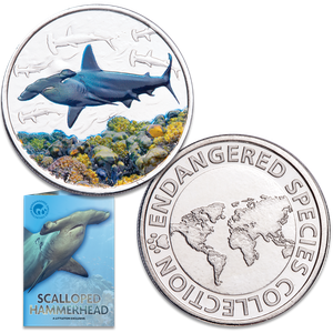 Endangered Species Silver-Plated Round with Folder - Scalloped Hammerhead Shark Main Image