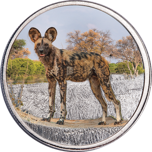 Endangered Species Silver-Plated Round with Folder - African Wild Dog Main Image